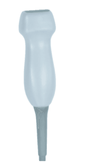 Phased array ultrasound probe configured with the lung preset.